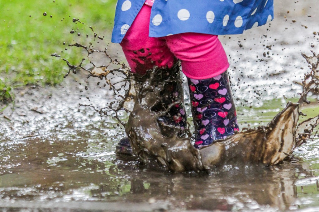 ‘Zag twee beren foto’s maken…’