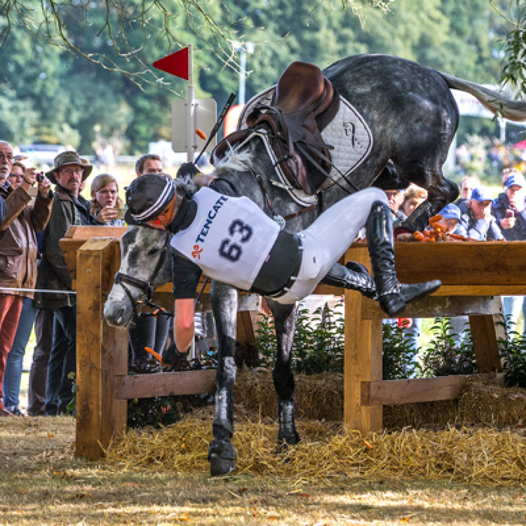 Military Boekelo 2016